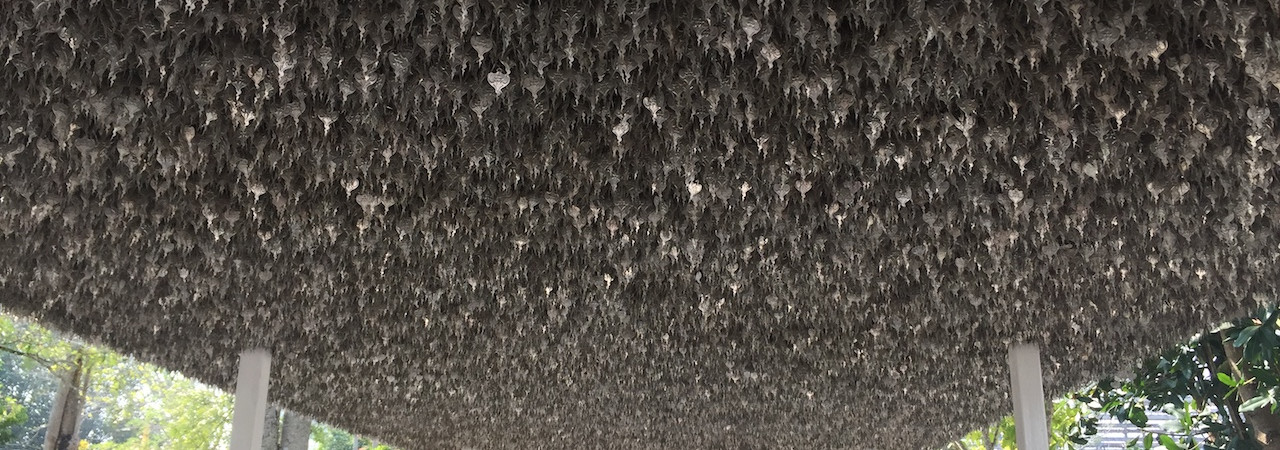 Provident quibusdam omnis incidunt molestiae eveniet voluptatem omnis.